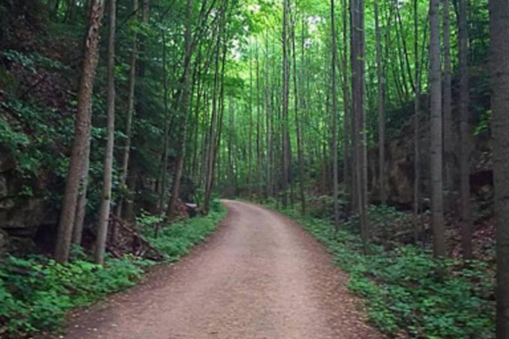 Stay In Ohiopyle Near The Gap Trail - Ohiopyle, Pa Екстериор снимка