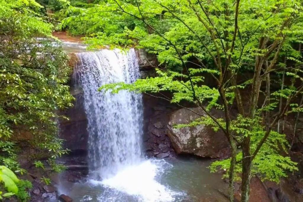 Stay In Ohiopyle Near The Gap Trail - Ohiopyle, Pa Екстериор снимка