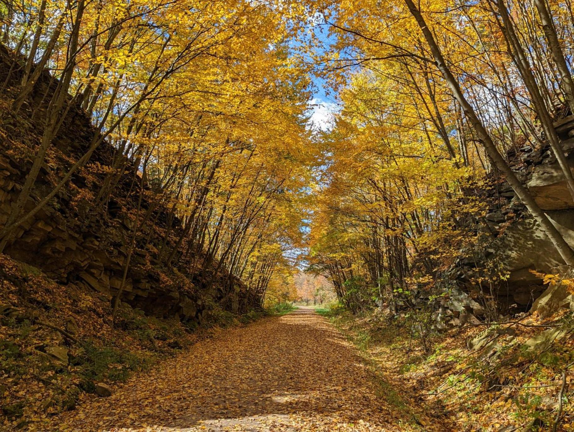 Stay In Ohiopyle Near The Gap Trail - Ohiopyle, Pa Екстериор снимка